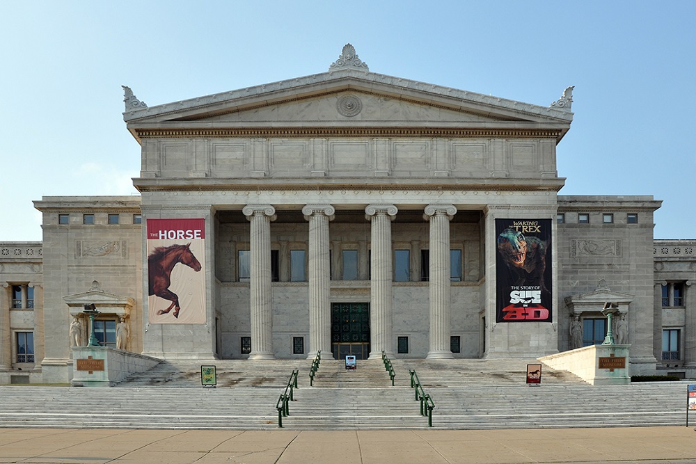 Museu The Field