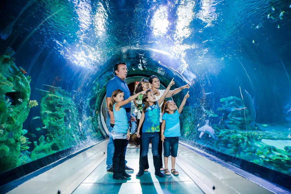 Sea Life London Aquarium Ingresso de 01 dia