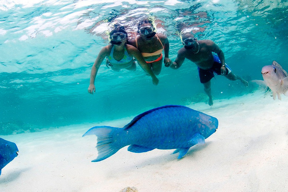 Aventura em Snorkel